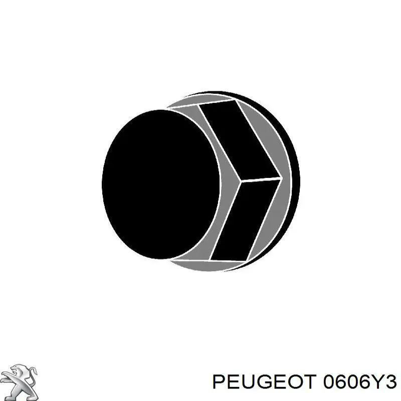 0606Y3 Peugeot/Citroen вкладиші колінвала, шатунні, комплект, стандарт (std)