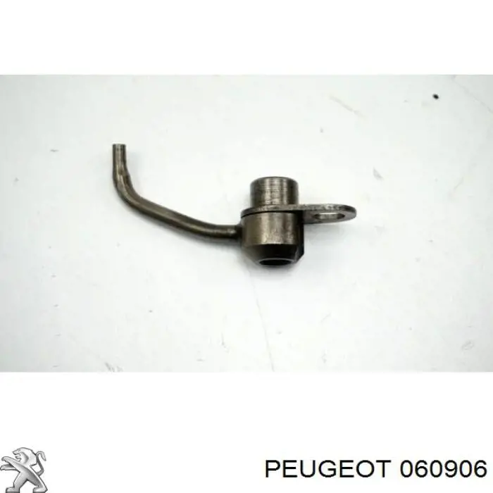 Купити 060906 Peugeot/Citroen Форсунка масляна
