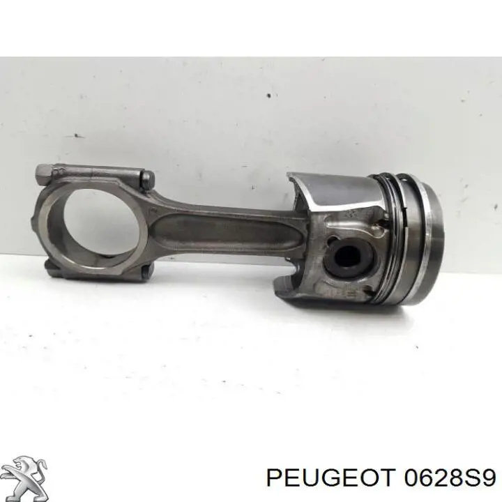 Купити 0628S9 Peugeot/Citroen 