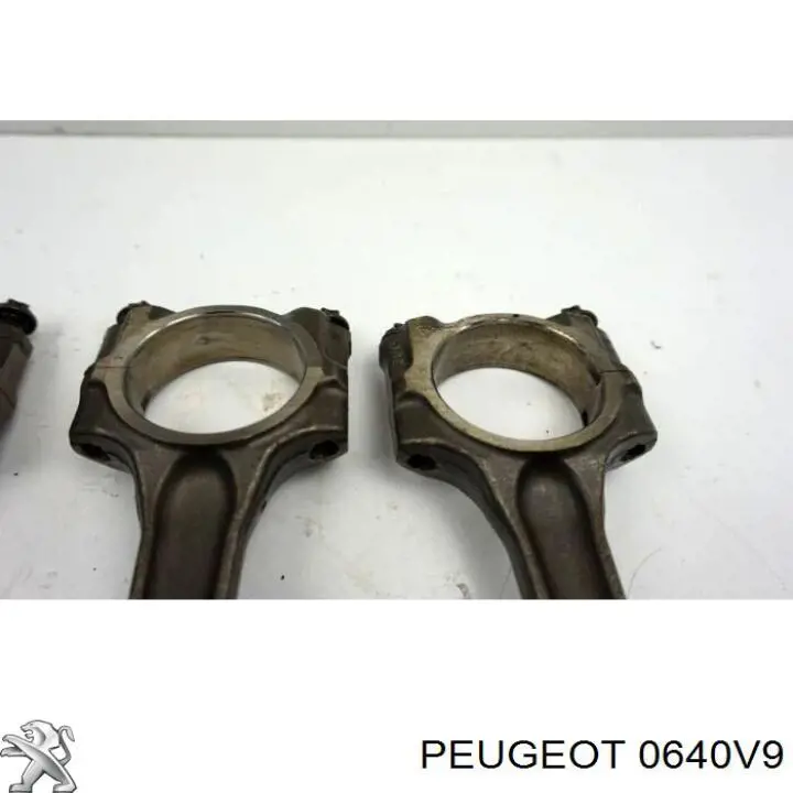 0640V9 Peugeot/Citroen Поршні і шатуни