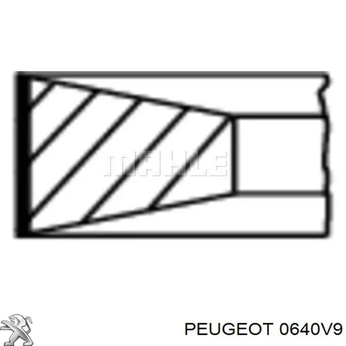 Купити 0640V9 Peugeot/Citroen Маслоз'емні кільця, стандартні