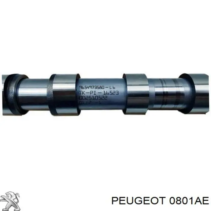 0801AE Peugeot/Citroen розподільний вал двигуна випускний