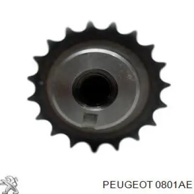 Купити 0801AE Peugeot/Citroen Розподільний вал двигуна випускний