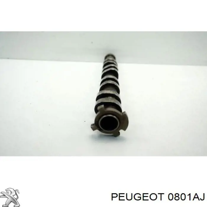  Розподільний вал впускний Peugeot 206 