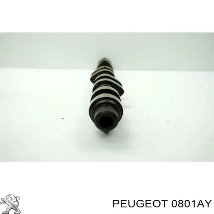 0801AY Peugeot/Citroen 