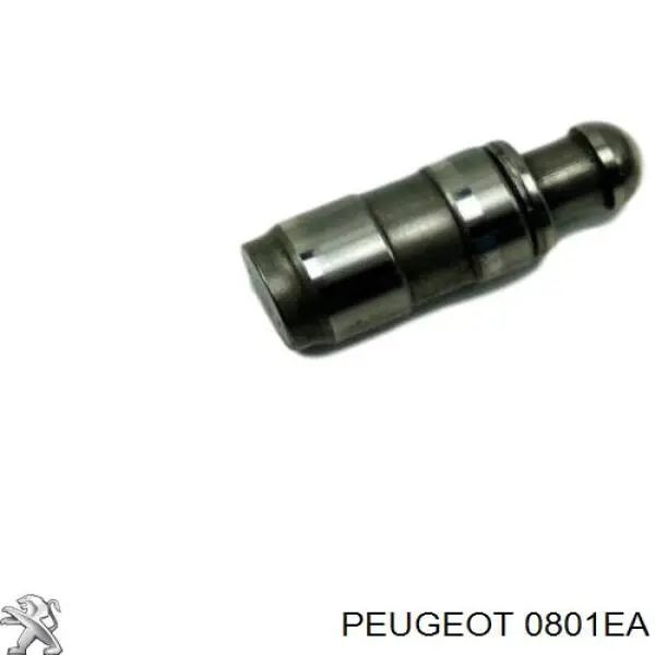 0801EA Peugeot/Citroen розподільний вал двигуна впускний