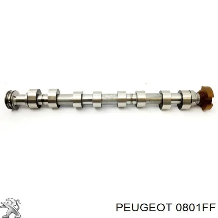 0801FF Peugeot/Citroen розподільний вал двигуна впускний