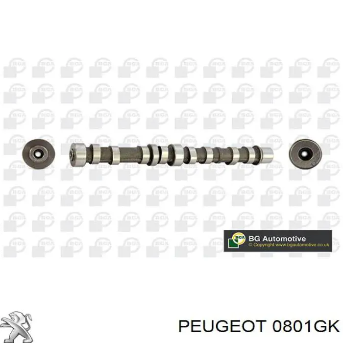 Купити 55206897 Fiat/Alfa/Lancia Розподільний вал двигуна випускний