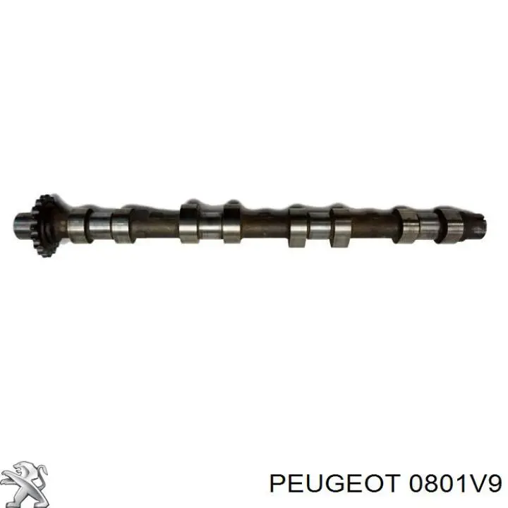 0801V9 Peugeot/Citroen розподільний вал двигуна впускний