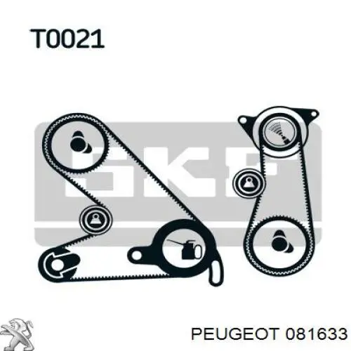 081633 Peugeot/Citroen Ремінь двигуна