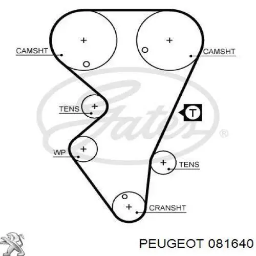 Зубчастий ремінь Peugeot/Citroen 081640 ціна, від 4.79 USD