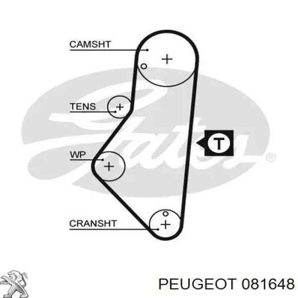 081648 Peugeot/Citroen ремінь грм