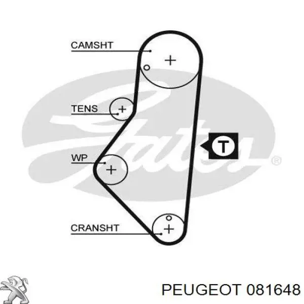 Ремінь ГРМ 081648 Peugeot/Citroen