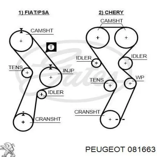 Купити 081663 Peugeot/Citroen Ремінь газорозподільного механізму