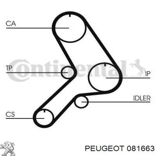081663 Peugeot/Citroen ремінь грм