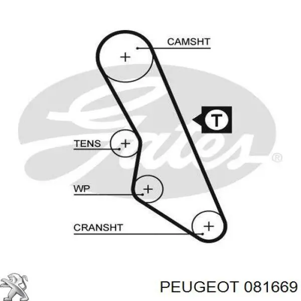 Купити 081669 Peugeot/Citroen Ремінь газорозподільного механізму