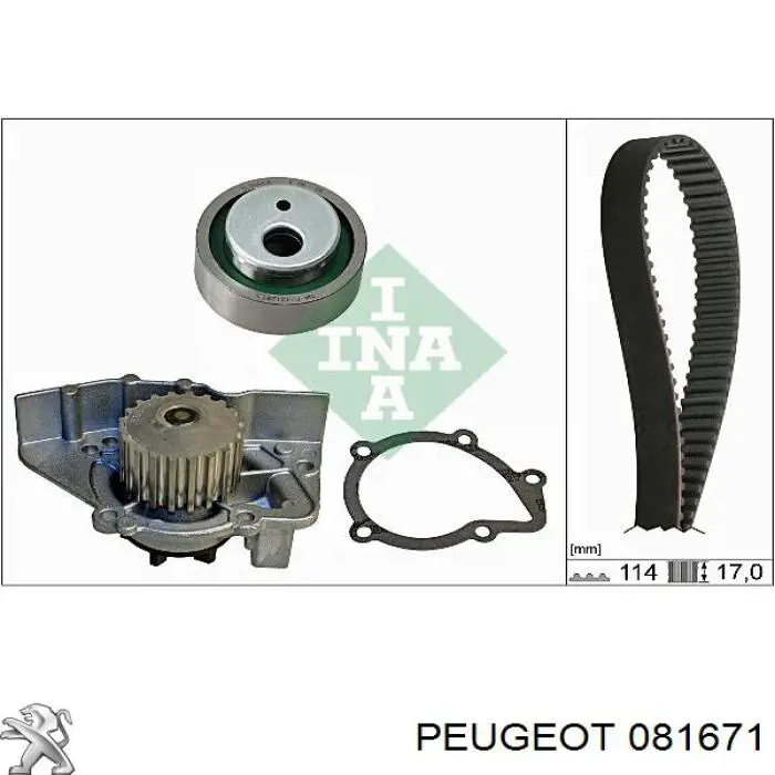 Купити 081671 Peugeot/Citroen Ремінь газорозподільного механізму