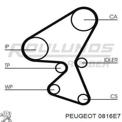 Ремінь ГРМ 0816E7 Peugeot/Citroen