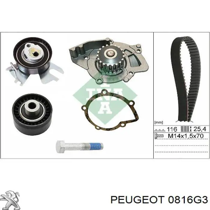 0816G3 Peugeot/Citroen ремінь грм