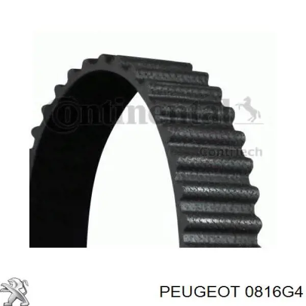 Купити 0816G4 Peugeot/Citroen Ремінь газорозподільного механізму