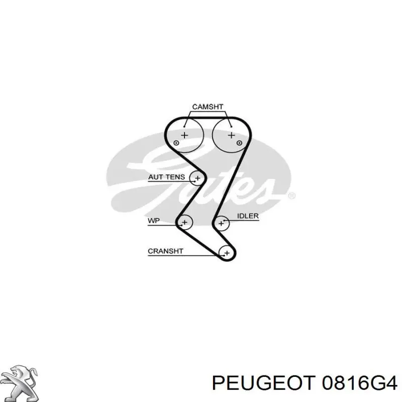 Зубчастий ремінь Peugeot/Citroen 0816G4 ціна, від 26.65 USD