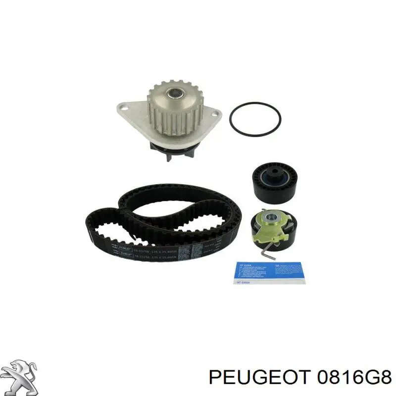 9646864480 Peugeot/Citroen Ремінь двигуна