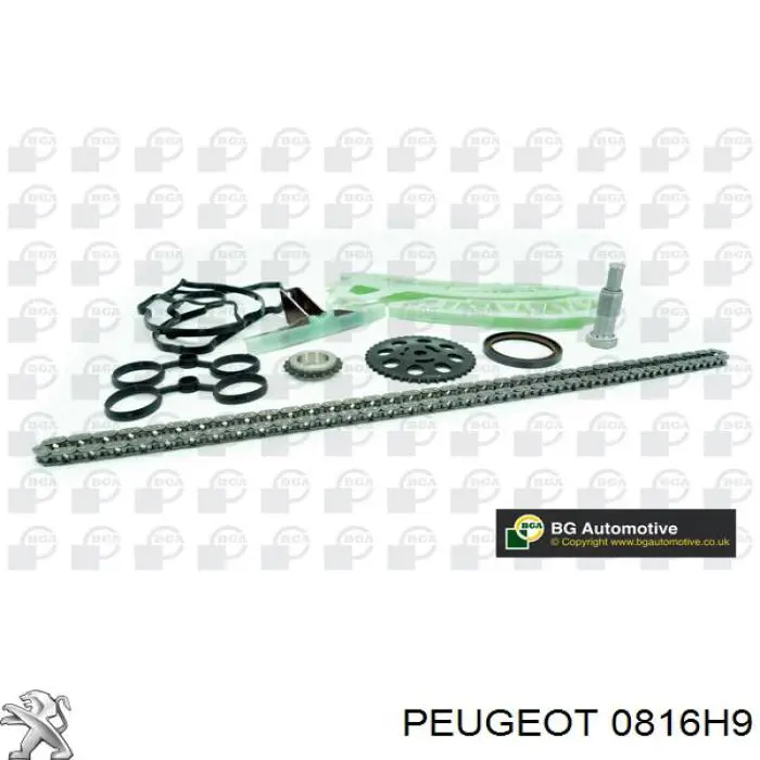 0816H9 Peugeot/Citroen Ланцюг ГРМ, комплект
