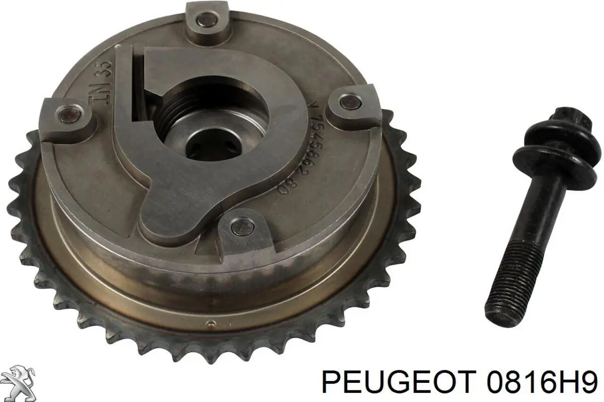 Купити 0816H9 Peugeot/Citroen Комплект ланцюга ГРМ