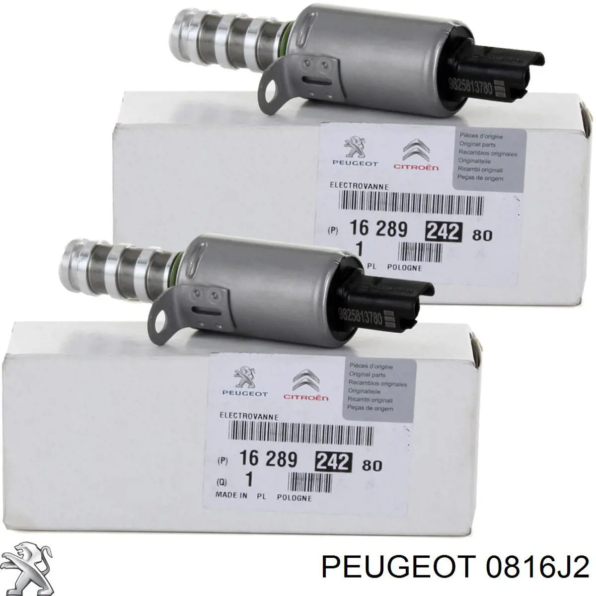 Ланцюг распредвала Peugeot/Citroen 0816J2