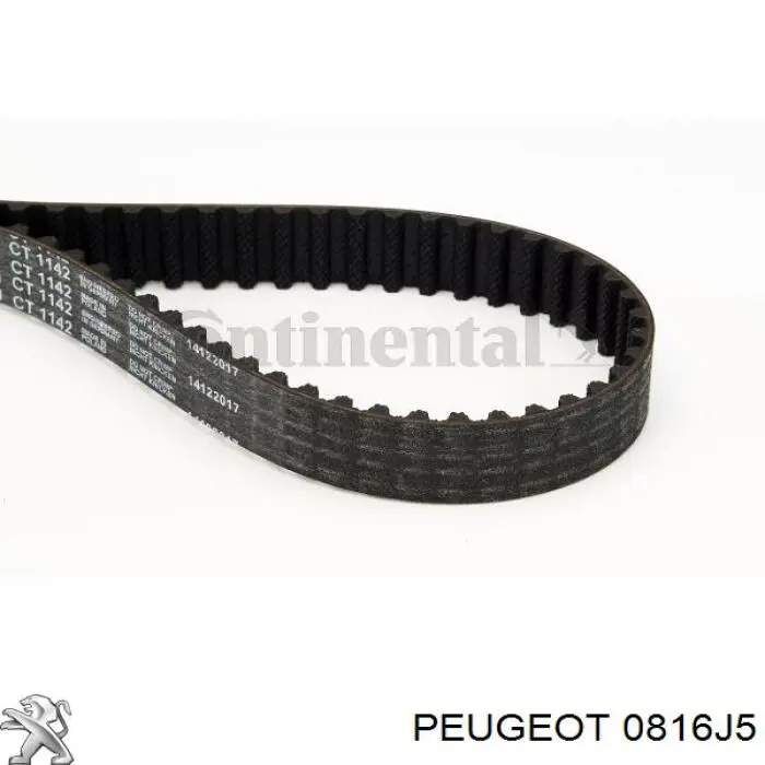 Купити 0816J5 Peugeot/Citroen Ремінь газорозподільного механізму