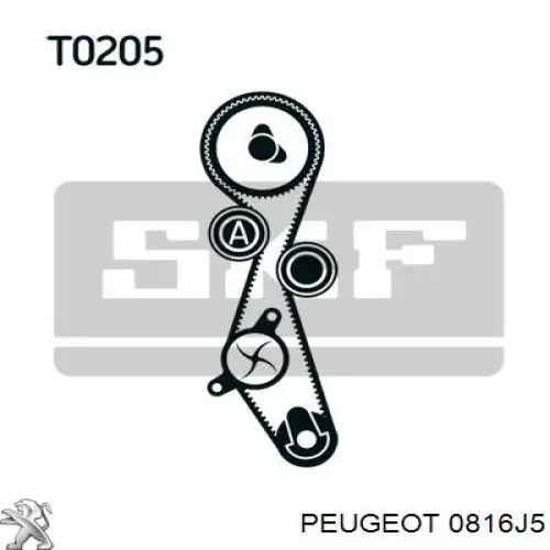 Зубчастий ремінь Peugeot/Citroen 0816J5 ціна, від 36.02 USD