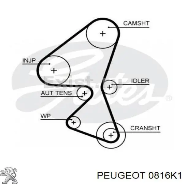 Зубчастий ремінь Peugeot/Citroen 0816K1 ціна, від 32.44 USD