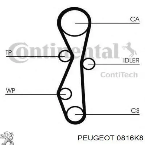 0816K8 Peugeot/Citroen ремінь грм