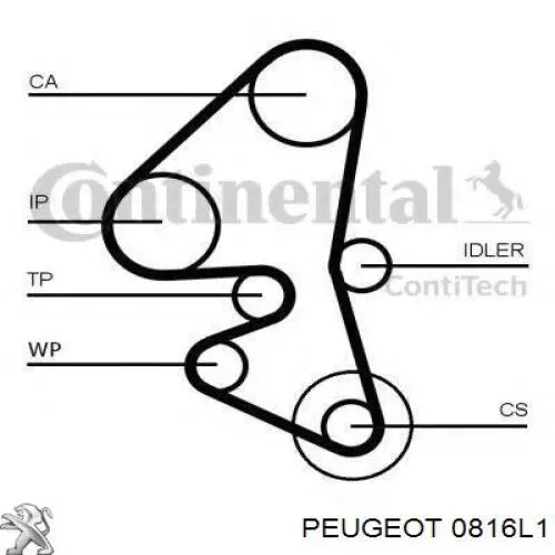 0816L1 Peugeot/Citroen ремінь грм