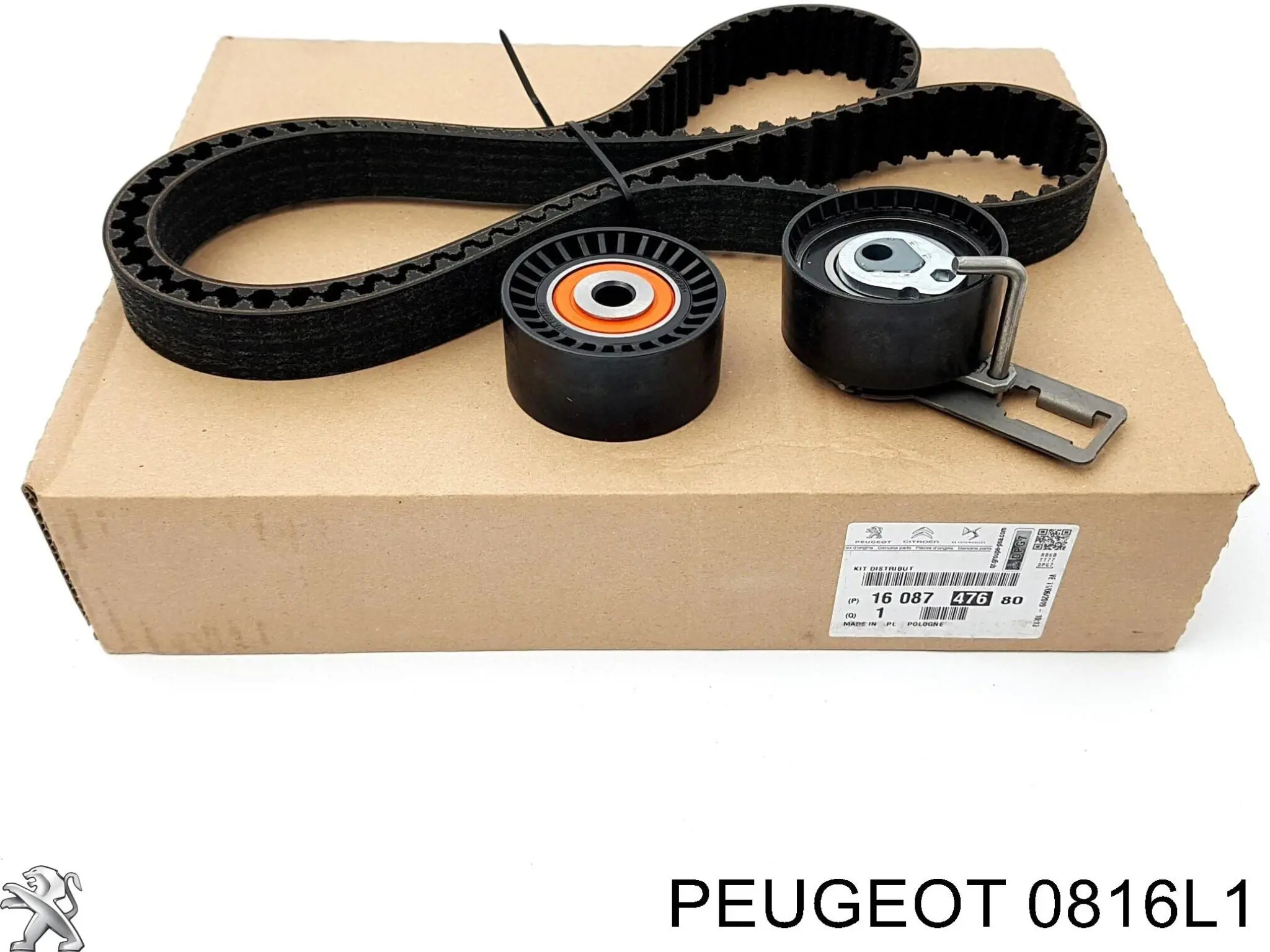 Ремінь ГРМ 0816L1 Peugeot/Citroen