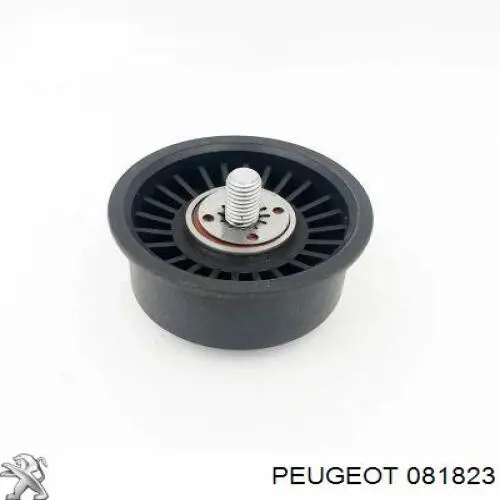 Ролик ременя ГРМ, паразитний Peugeot/Citroen 081823