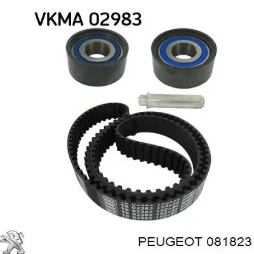 Купити 081823 Peugeot/Citroen Ролик паразитний ГРМ