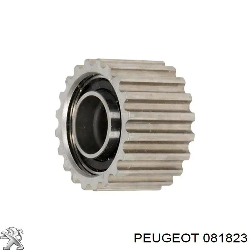 081823 Peugeot/Citroen Паразитний провідний ролик