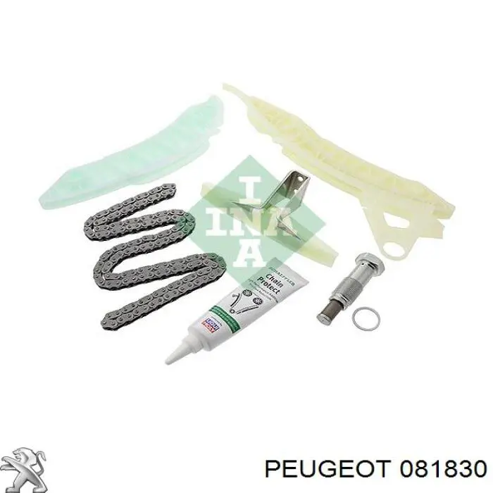 Купити 3648790 Peugeot/Citroen Башмак натягувача ланцюга ГРМ
