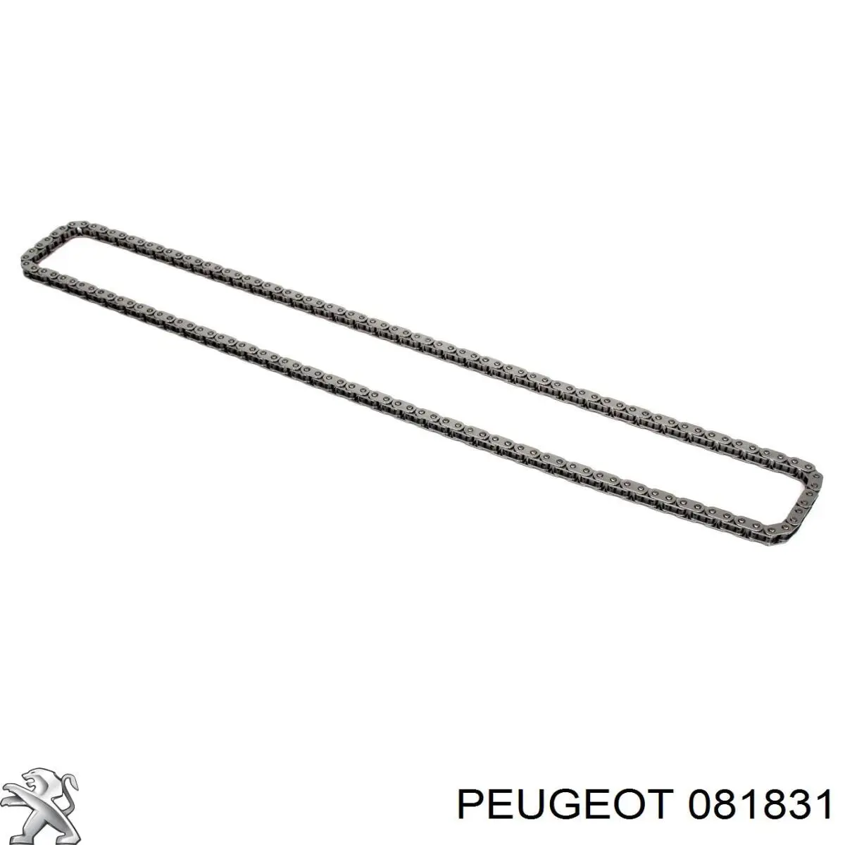 Заспокоювач ланцюга ГРМ 081831 Peugeot/Citroen