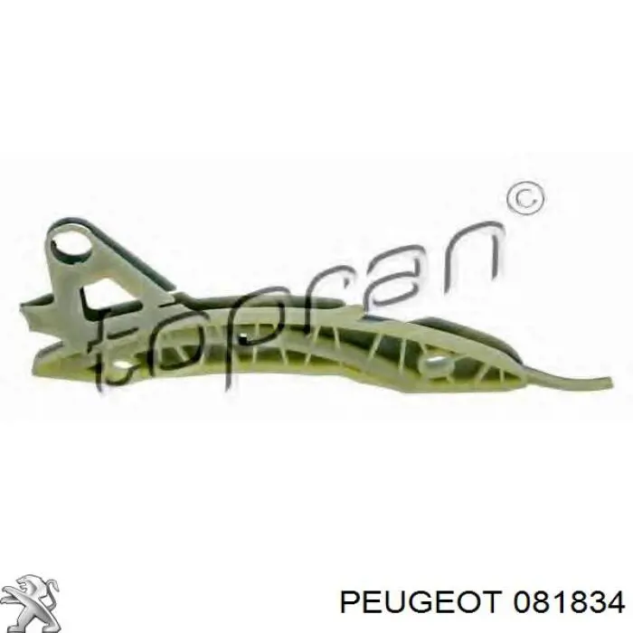 Купити 81840 Peugeot/Citroen Заспокоювач ланцюга ГРМ, лівий