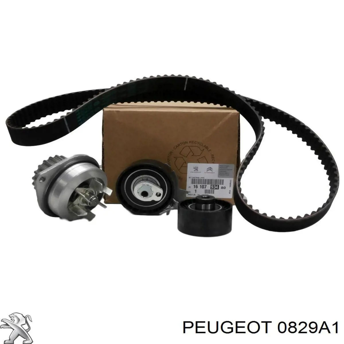 0829A1 Peugeot/Citroen ролик ременя грм, паразитний
