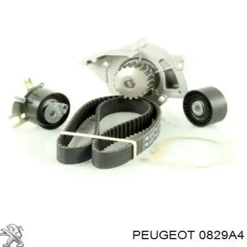 Ролик ГРМ Peugeot/Citroen 0829A4