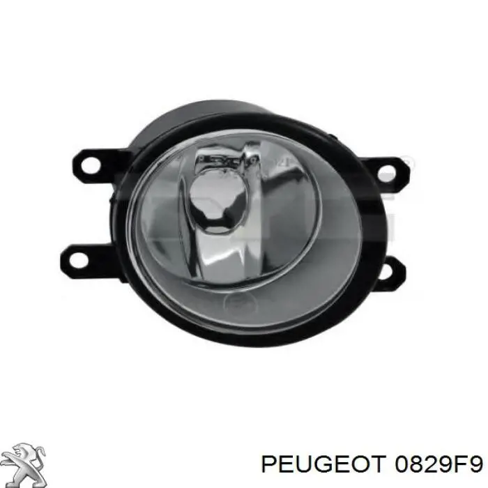 0829F9 Peugeot/Citroen ролик натягувача ременя грм