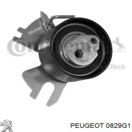 Купити 0829G1 Peugeot/Citroen Ролик паразитний ГРМ