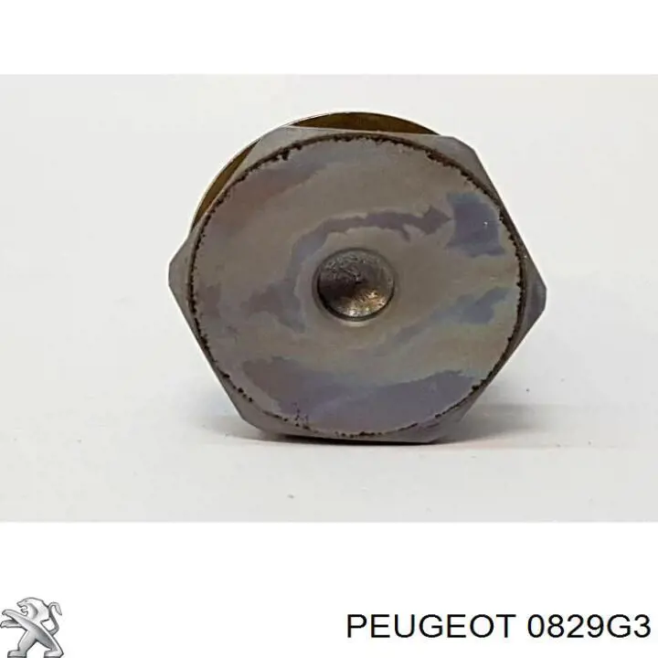 0829G3 Peugeot/Citroen Натягувач ланцюга ГРМ