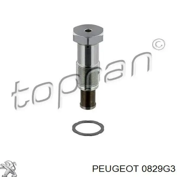 Купити 0829G3 Peugeot/Citroen Натягувач ланцюга ГРМ