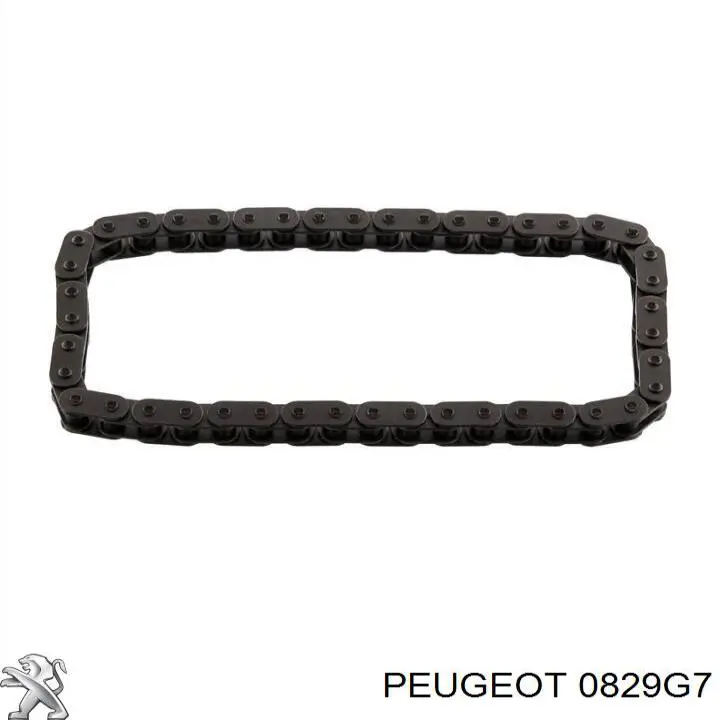 Купити 0829G7 Peugeot/Citroen Башмак натягувача ланцюга ГРМ