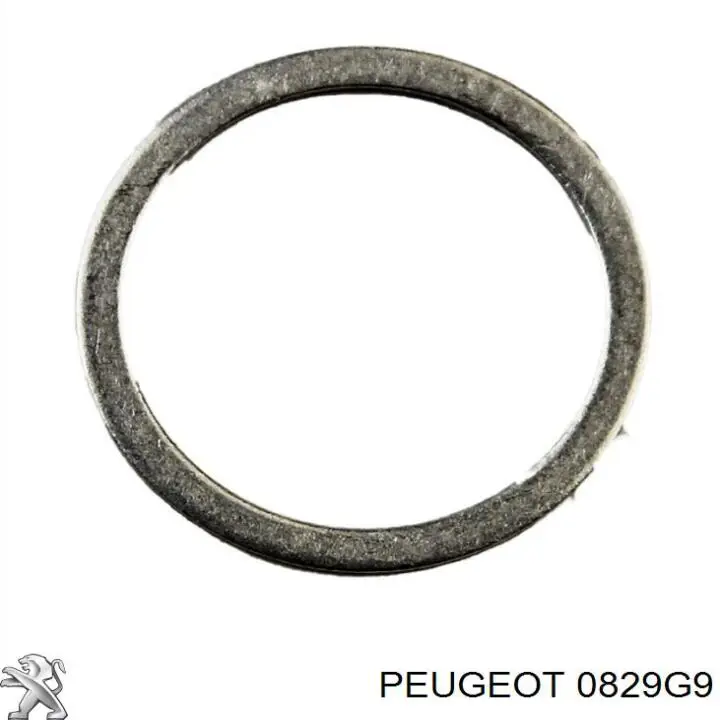 Прокладка натягувача ланцюга ГРМ Peugeot 508 2 (FB, FH, F3) (Пежо 508)