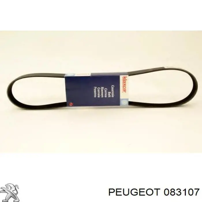 Комплект ГРМ 083107 Peugeot/Citroen